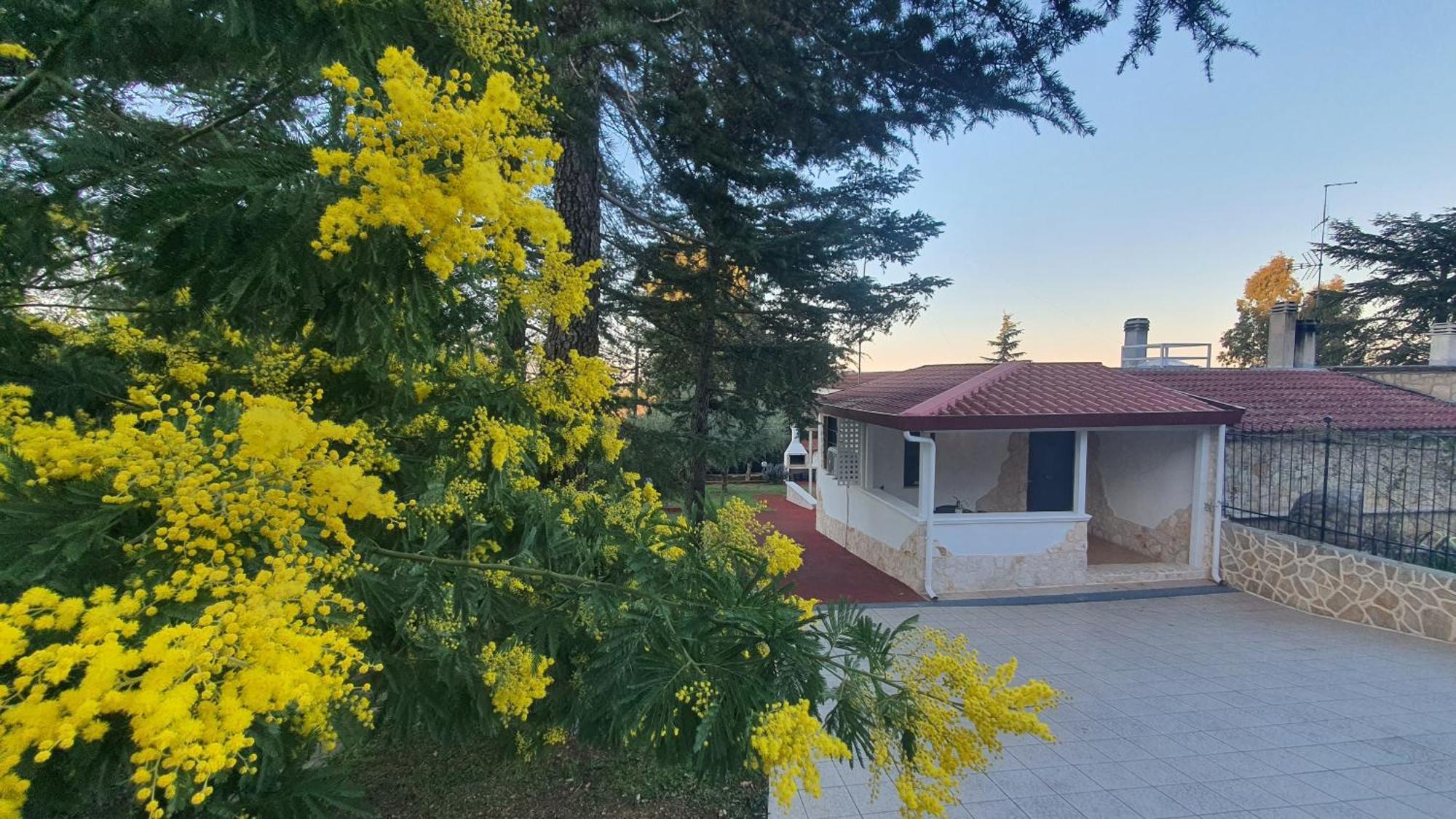 Mercadante - Luxury Holiday House Cassano delle Murge Eksteriør billede