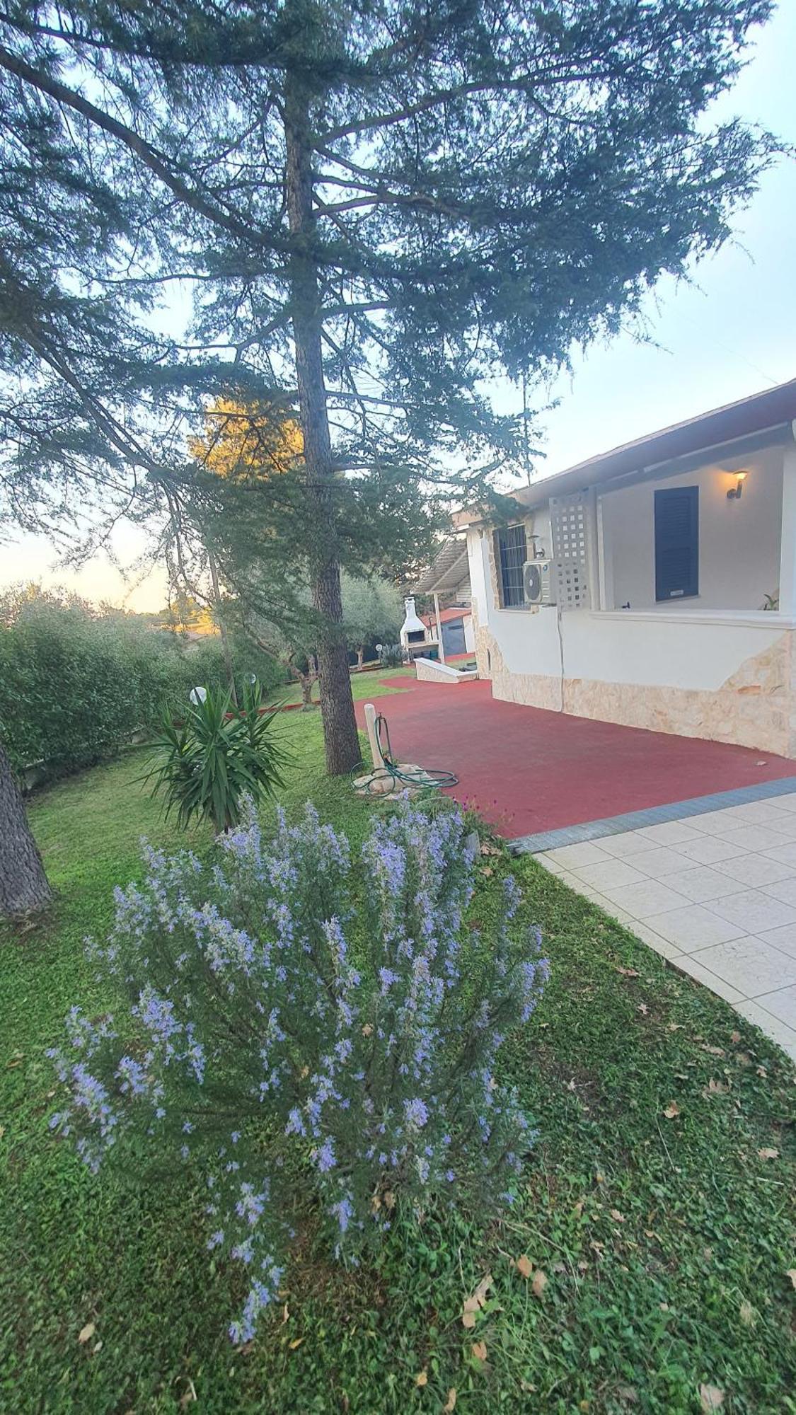Mercadante - Luxury Holiday House Cassano delle Murge Eksteriør billede